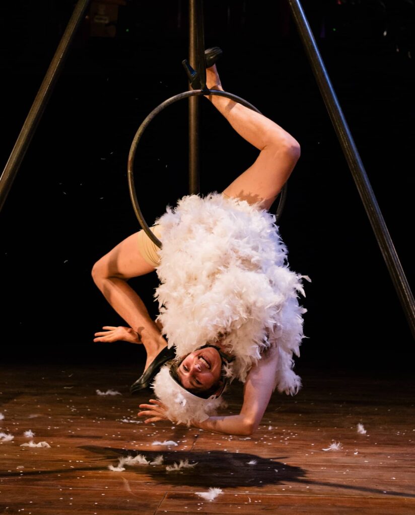 Cabaret cirque "Machefer"