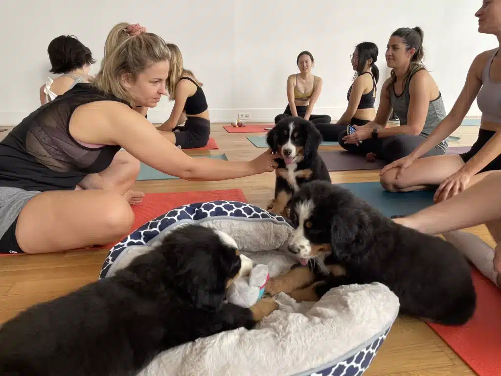 quoi-faire-a-bordeaux-puppy-yoga